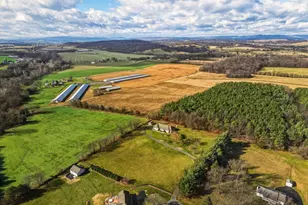 948 Battlefield Bluff Dr, New Market, VA 22844 - Photo 52