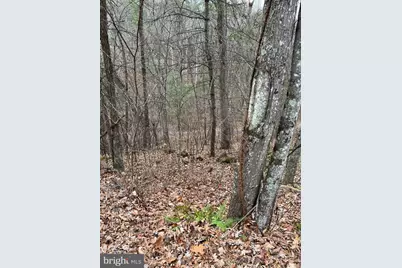 0 Crab Apple, Mount Jackson, VA 22842 - Photo 2