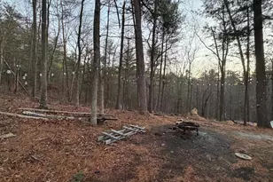 359 Straton Way, Basye, VA 22810 - Photo 38