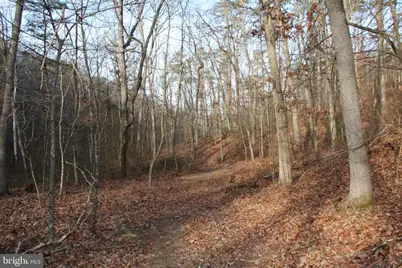 John Marshall Highway, Strasburg, VA 22657 - Photo 32