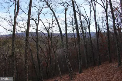 John Marshall Highway, Strasburg, VA 22657 - Photo 6