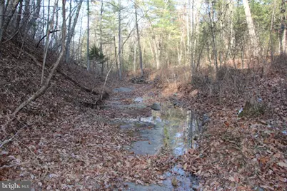 John Marshall Highway, Strasburg, VA 22657 - Photo 24