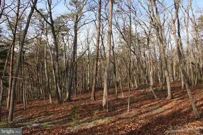 John Marshall Highway, Strasburg, VA 22657 - Photo 12