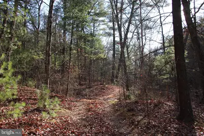 John Marshall Highway, Strasburg, VA 22657 - Photo 34