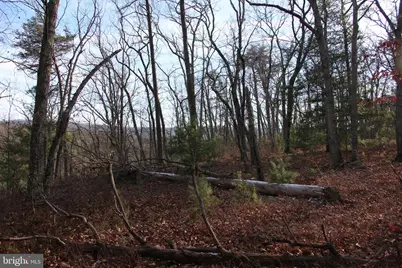 John Marshall Highway, Strasburg, VA 22657 - Photo 18