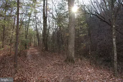 John Marshall Highway, Strasburg, VA 22657 - Photo 1