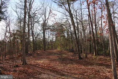 John Marshall Highway, Strasburg, VA 22657 - Photo 28