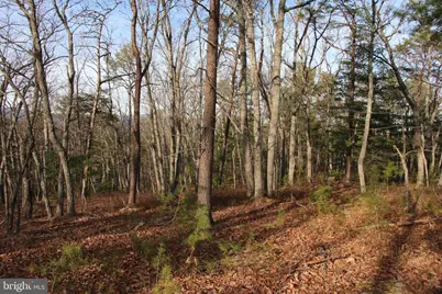 John Marshall Highway, Strasburg, VA 22657 - Photo 14