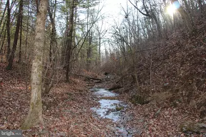 John Marshall Highway, Strasburg, VA 22657 - Photo 2