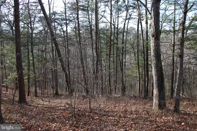 John Marshall Highway, Strasburg, VA 22657 - Photo 22