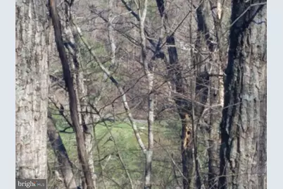 00 Lee Road, Basye, VA 22810 - Photo 4