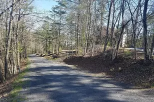 00 Lee Rd, Basye, VA 22810 - Photo 1