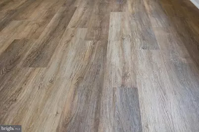 248 Shenvalee Drive, New Market, VA 22844 - Photo 78