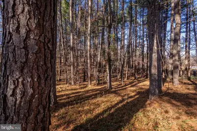 79 Gunn Lane, Woodstock, VA 22664 - Photo 66