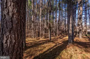 79 Gunn Ln, Woodstock, VA 22664 - Photo 66