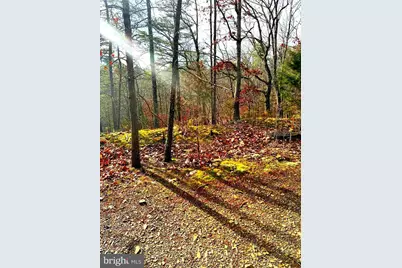 King Street, Basye, VA 22810 - Photo 12