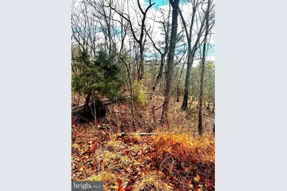 King Street, Basye, VA 22810 - Photo 6