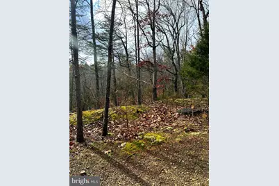 King Street, Basye, VA 22810 - Photo 4