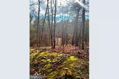 King Street, Basye, VA 22810 - Photo 10