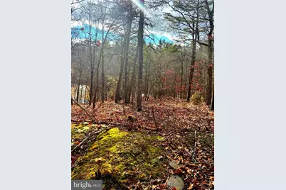 King Street, Basye, VA 22810 - Photo 8