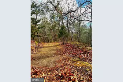 King Street, Basye, VA 22810 - Photo 6