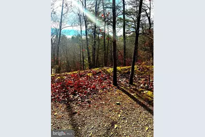 King Street, Basye, VA 22810 - Photo 2