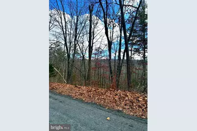 Spitz Lane, Basye, VA 22810 - Photo 1