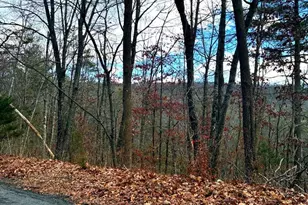 Spitz Ln, Basye, VA 22810 - Photo 1