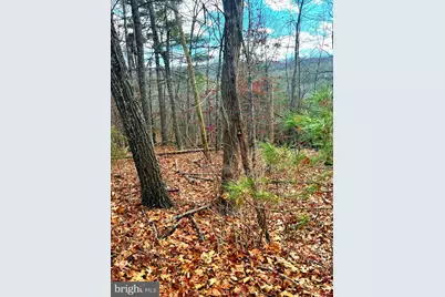 Spitz Lane, Basye, VA 22810 - Photo 8