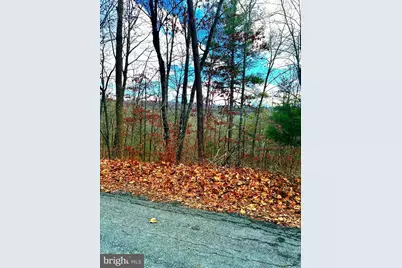 Spitz Lane, Basye, VA 22810 - Photo 4