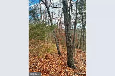 Spitz Lane, Basye, VA 22810 - Photo 6