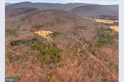 709 Stultz Gap Road, Edinburg, VA 22824 - Photo 24