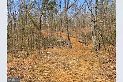 709 Stultz Gap Road, Edinburg, VA 22824 - Photo 6