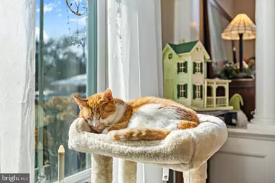 207 S Muhlenberg Street, Woodstock, VA 22664 - Photo 12