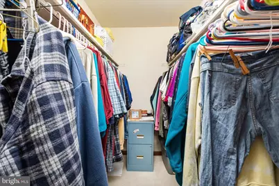 2467 Buck Hill Road, Mount Jackson, VA 22842 - Photo 24