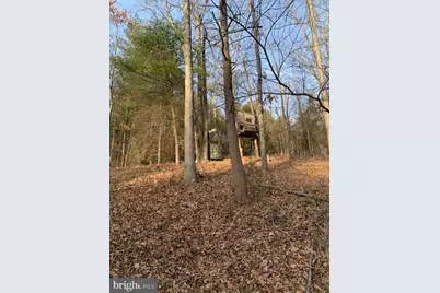 0 Supinlick Ridge Road, Mount Jackson, VA 22842 - Photo 12