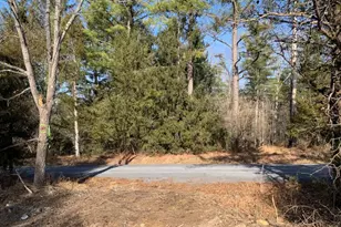 0 Supinlick Ridge Rd, Mount Jackson, VA 22842 - Photo 1