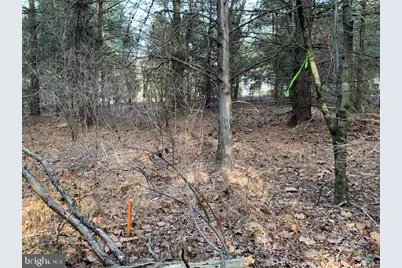 0 Supinlick Ridge Road, Mount Jackson, VA 22842 - Photo 8