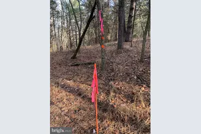 0 Supinlick Ridge Road, Mount Jackson, VA 22842 - Photo 14