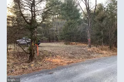 0 Supinlick Ridge Road, Mount Jackson, VA 22842 - Photo 2