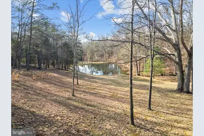 5333 Orkney Grade, Mount Jackson, VA 22842 - Photo 4