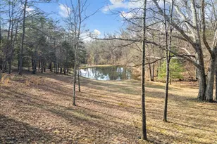 5333 Orkney Grade, Mount Jackson, VA 22842 - Photo 4