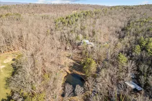 5333 Orkney Grade, Mount Jackson, VA 22842 - Photo 74