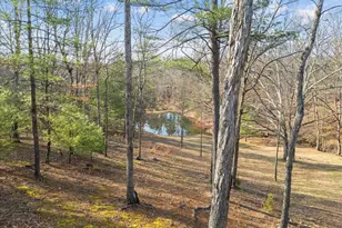 5333 Orkney Grade, Mount Jackson, VA 22842 - Photo 66