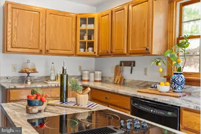 5333 Orkney Grade, Mount Jackson, VA 22842 - Photo 14