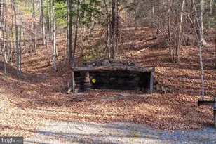 5333 Orkney Grade, Mount Jackson, VA 22842 - Photo 70