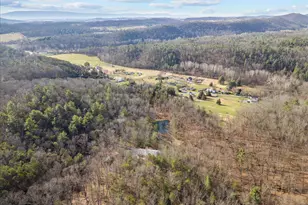 5333 Orkney Grade, Mount Jackson, VA 22842 - Photo 72