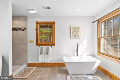 5333 Orkney Grade, Mount Jackson, VA 22842 - Photo 6