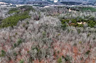 4992 St Davids Church Rd, Fort Valley, VA 22652 - Photo 32