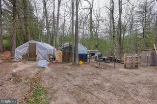 4992 St Davids Church Rd, Fort Valley, VA 22652 - Photo 22